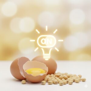 계란과 콩 옆에 근육 합성을 상징하는 '켜짐(ON)' 스위치나 빛나는 전구 아이콘