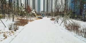 평탄하고 걷기 편한 도심 공원 산책로의 모습