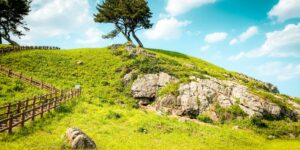 경주 대릉원의 고분과 평탄한 산책로가 어우러진 평화로운 풍경