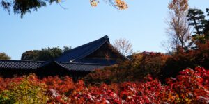 가을 단풍이 아름다운 영주 부석사의 전경