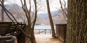 안산자락길의 완만한 나무 데크 산책로와 울창한 숲