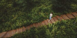 제주 서귀포 치유의 숲의 완만한 나무 데크 산책로와 울창한 나무들