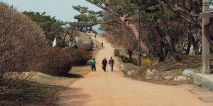 남한산성 서문에서 북문으로 이어지는 평탄한 흙길 산책로의 풍경