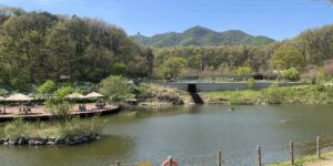 서울 남산공원 무장애 데크길의 평화로운 풍경