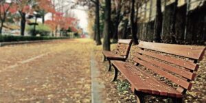 가을 산행길 벤치에 놓인 카본 등산 스틱