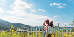 파주 헤이리 예술마을의 완만한 산책로와 평화로운 풍경