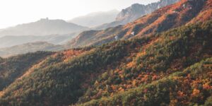 가을 산행의 정취가 느껴지는 단풍 든 산의 풍경