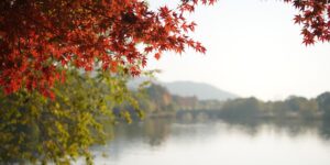 가을 단풍이 물든 경주 보문호수의 평화로운 풍경