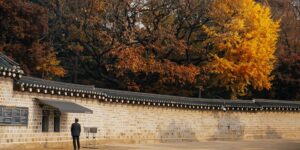 가을 단풍이 물든 공주 공산성 성곽길 전경