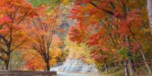 아름다운 단풍이 든 가을 산길의 풍경