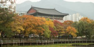 가을 단풍으로 물든 고창 선운사의 평화로운 전경