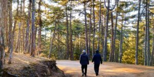 가을 산길을 걷는 활기찬 시니어 부부