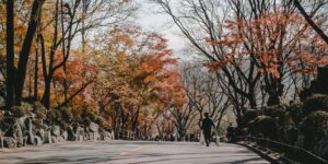 가을 단풍이 든 산길을 걷는 모습